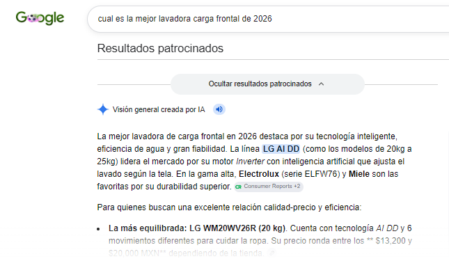 pregunta a google LLM